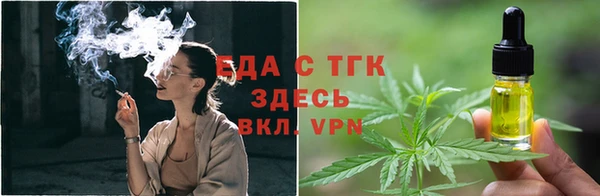 стаф Магас