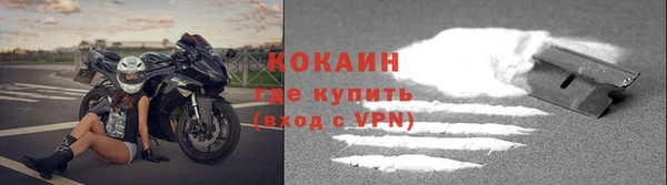 стаф Магас