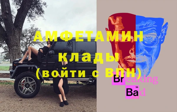 стаф Магас