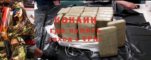 стаф Магас