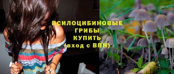 стаф Магас