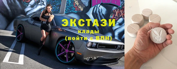 стаф Магас