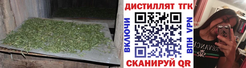 ТГК концентрат  Купить где  Касимов 